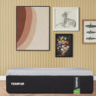 Colch&oacute;n Individual Sealy Tempur Prima