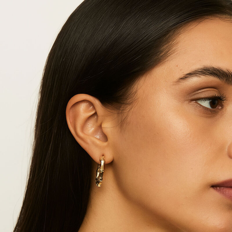 Arracadas doradas image number null