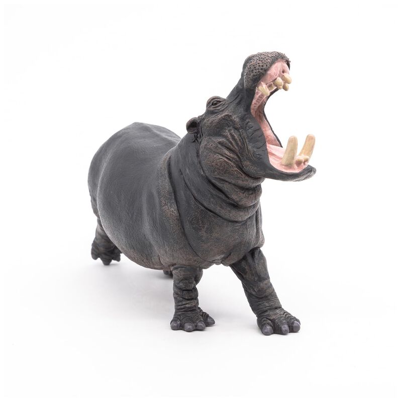 Figura De Juguete Papo Hippopotamus image number null