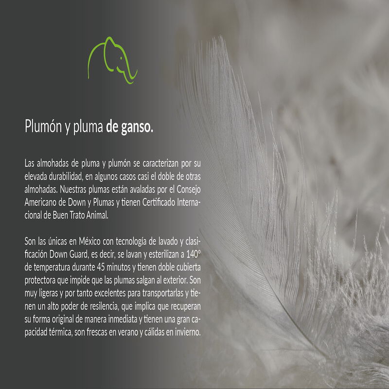 Lester Top Feather - Paquete de 2 Almohadas Plu... image number null