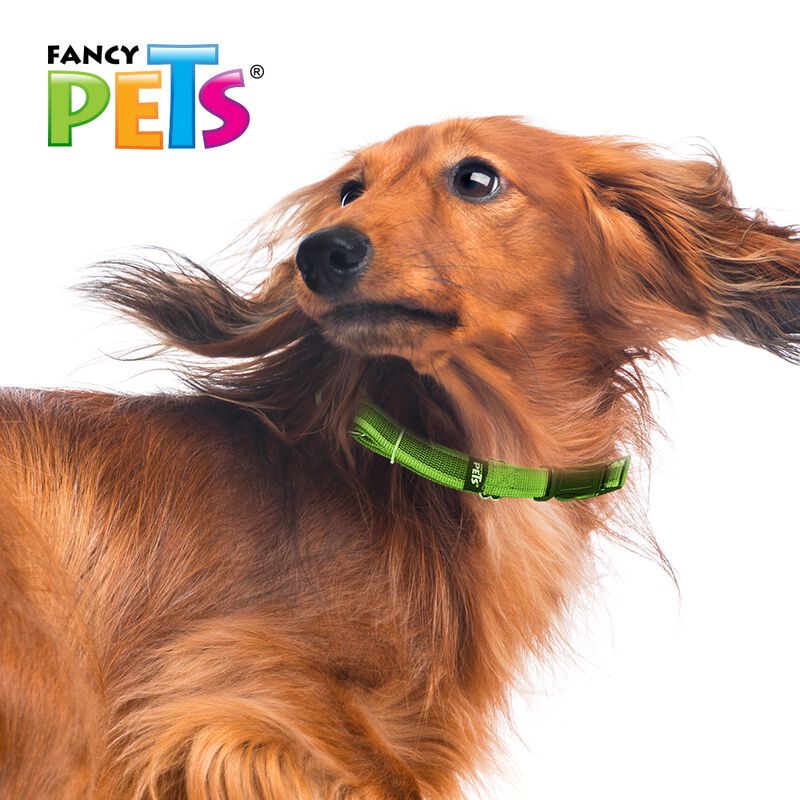 Fancy Pets Collar Con Ultra Grip Y Bandas Refle... image number null