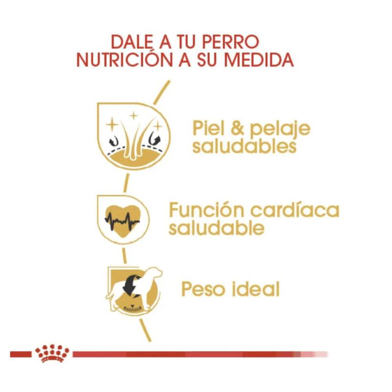 Royal Canin Bhn Golden Retriever Adult 13.6 Kg ... image number null