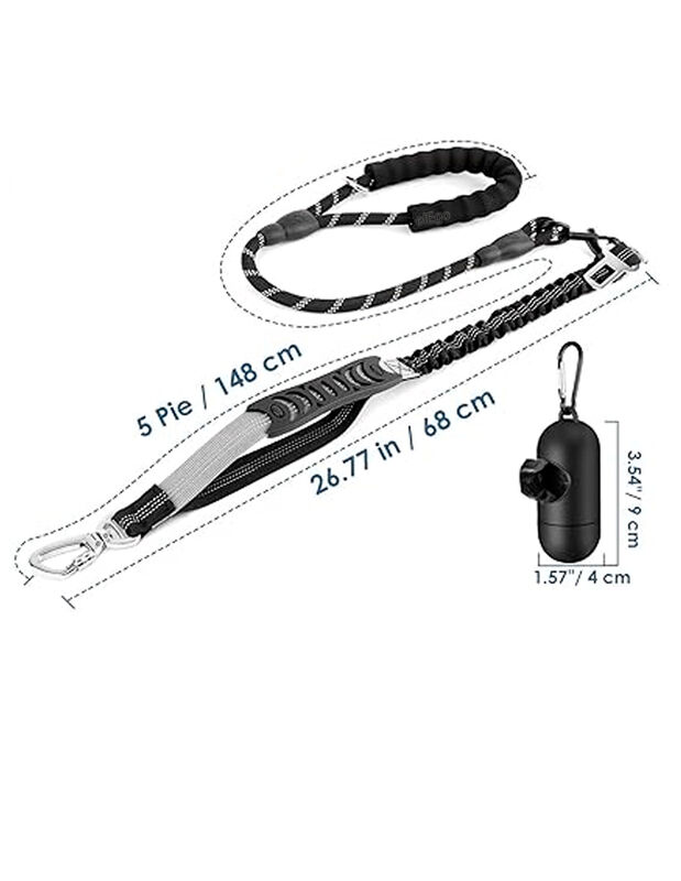 Doggy Run image number null