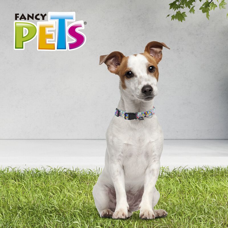 Fancy Pets Collar Galer&iacute;a Geo Glass Tama&ntilde;o Chic... image number null