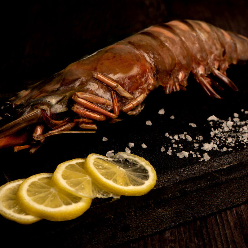 CAMAR&Oacute;N TIGRE U-1 image number null