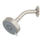 Regadera Satín 4'con 5 Funciones con Brazo Foset Element