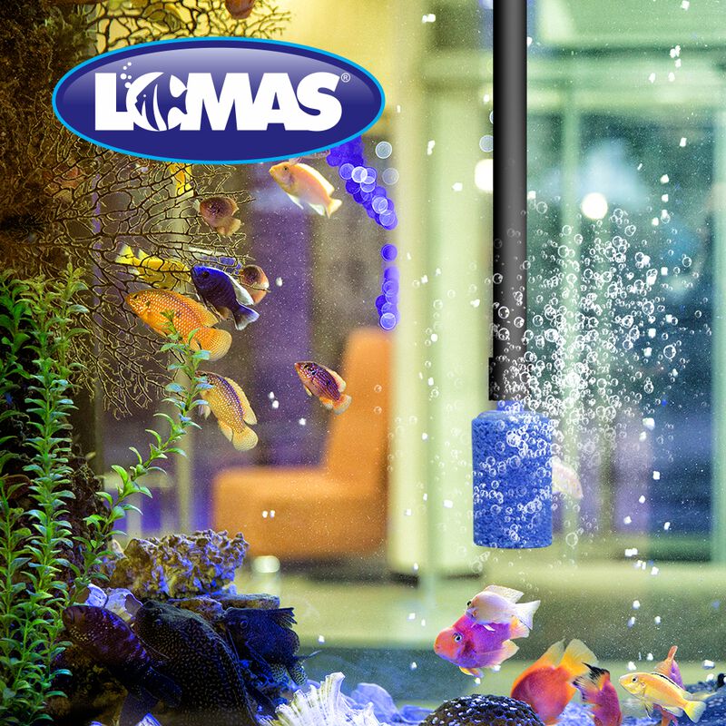 Lomas Piedra Aireadora Para Pecera Y/o Acuario ... image number null