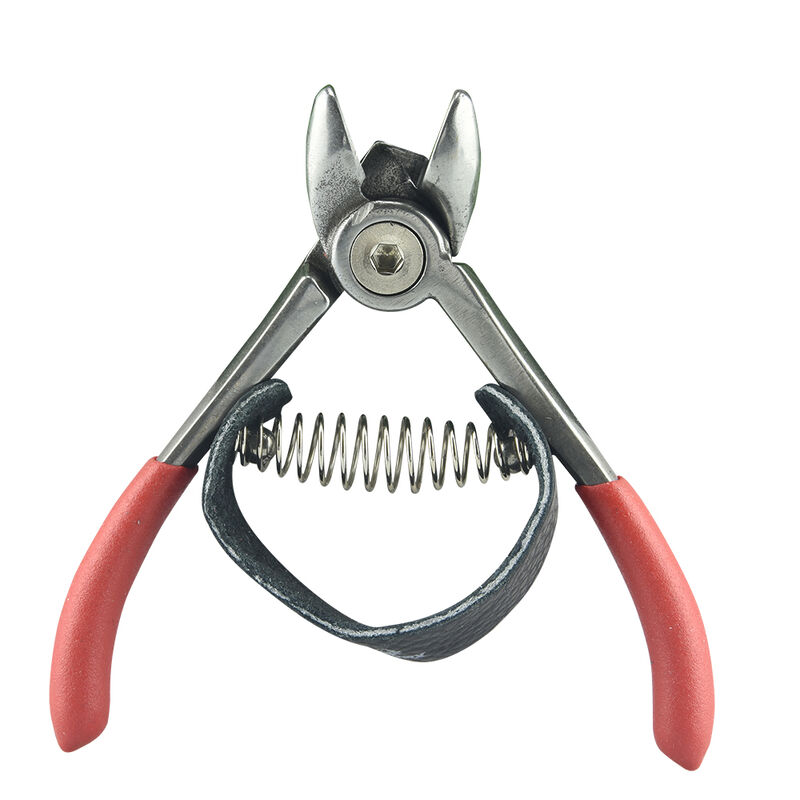 GIMEX|Tijeras Para Cortar Fruta 4.5Plg Uvas Y M... image number null