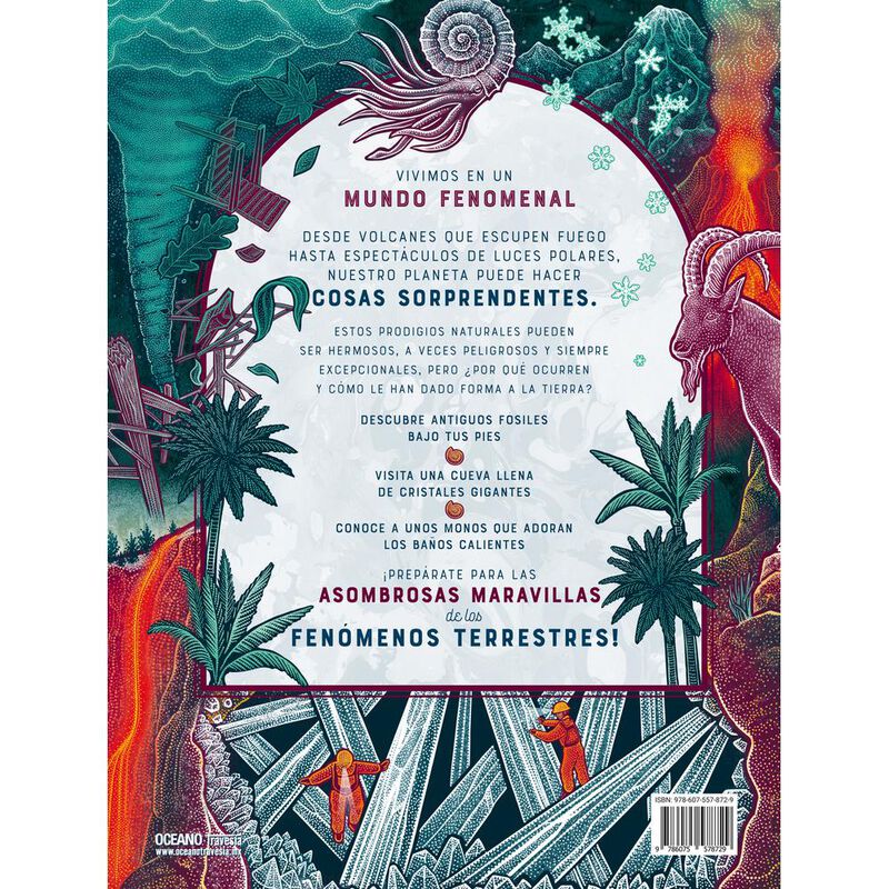 Bang image number null