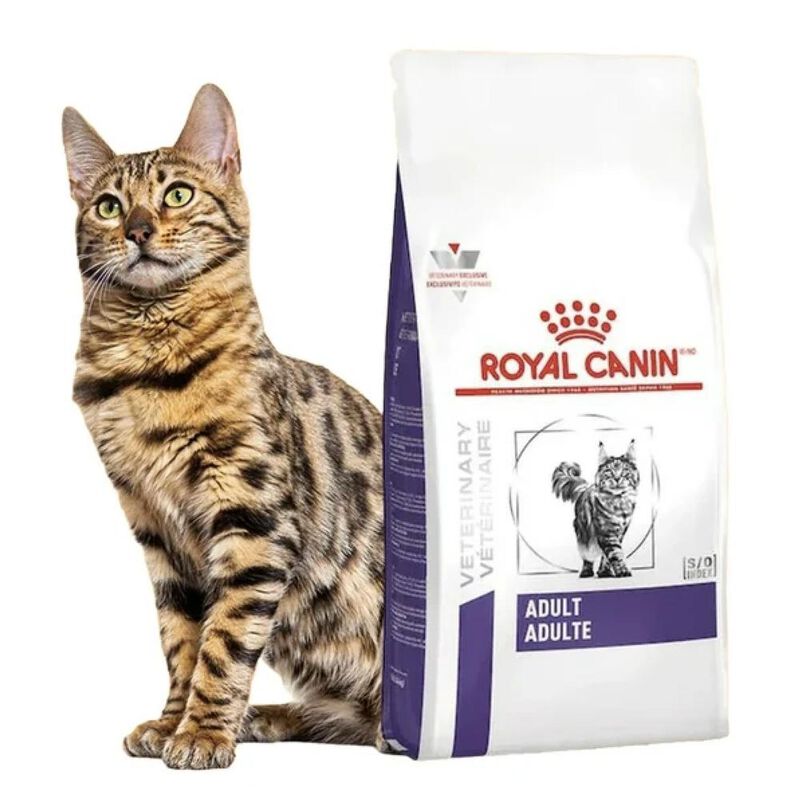 Royal Canin Adult Feline 2 Kg Original Sellado ... image number null