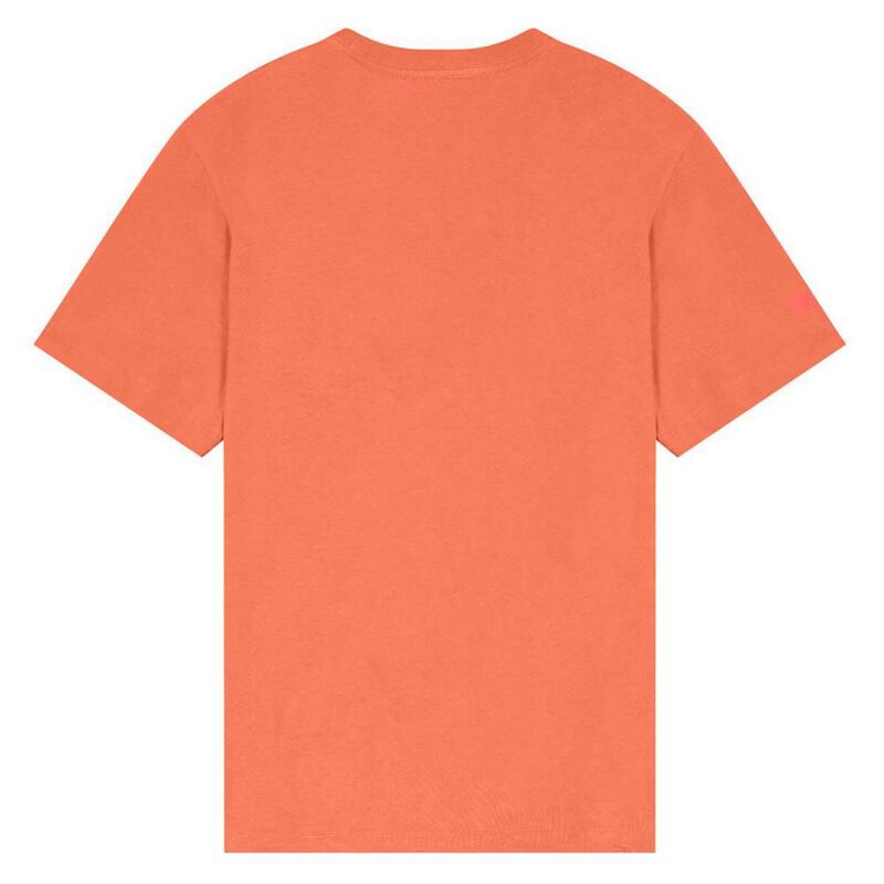 Playera Champion Classics Graphic para Hombre image number null