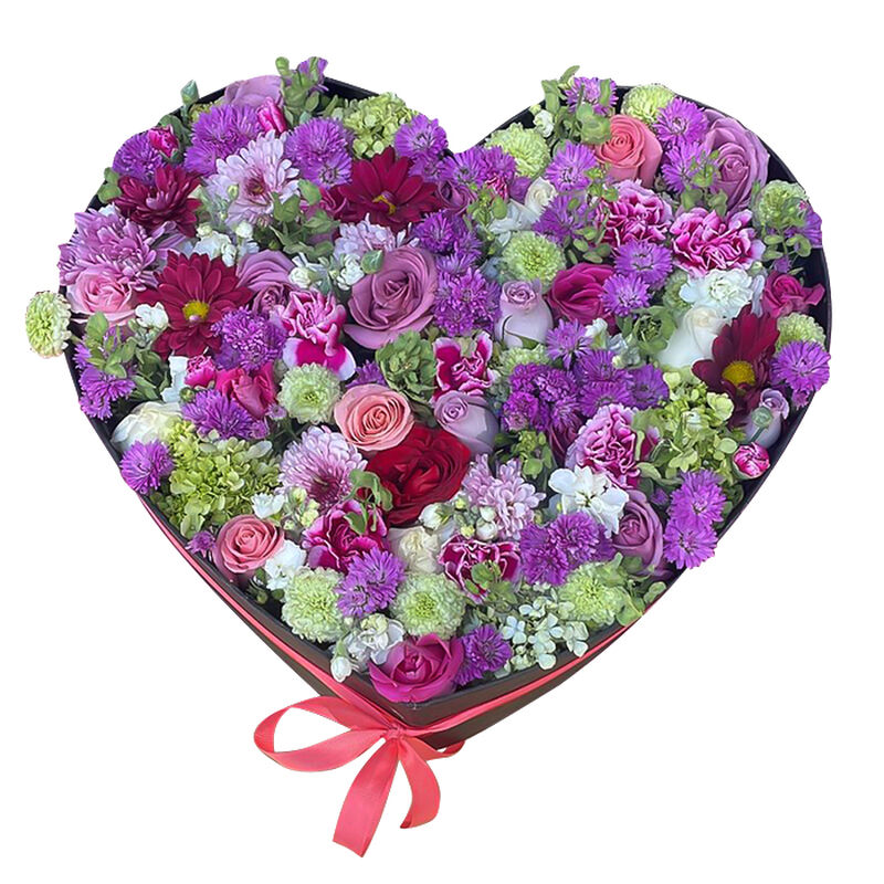 Coraz&oacute;n Violeta image number null