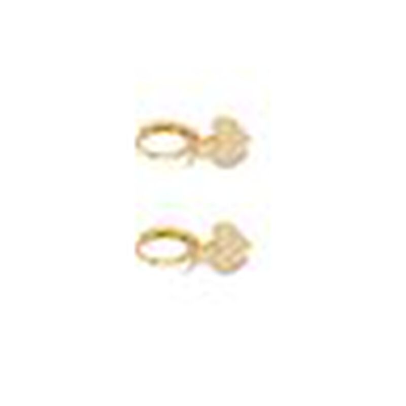 Grapa de coraz&oacute;n colgante image number null