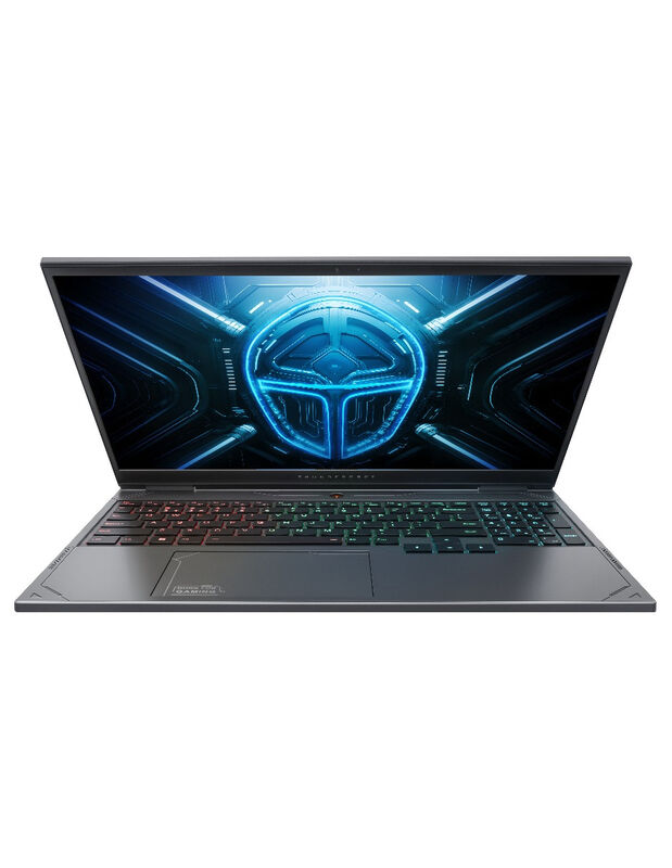 Laptop Thunderobot Radiant 16 I7-13650hx Rtx506... image number null