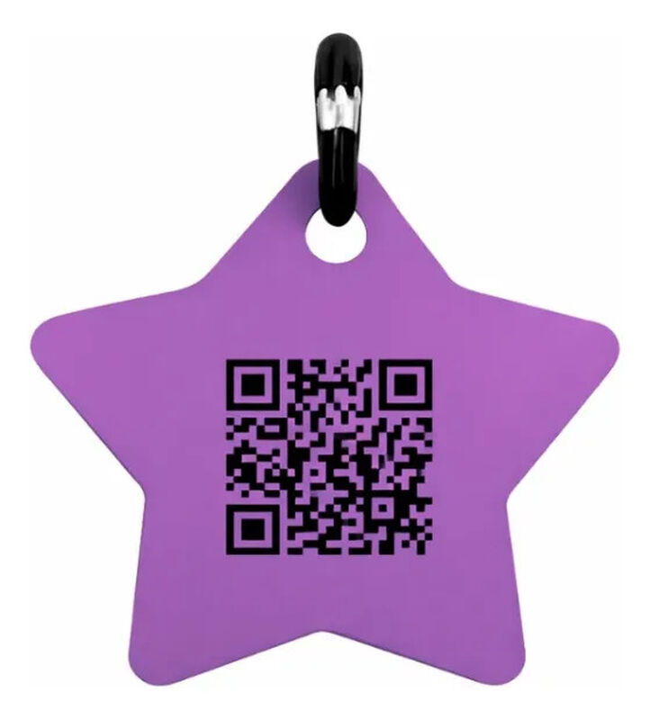 Placa Mascota Qriosa Estrella Morado image number null