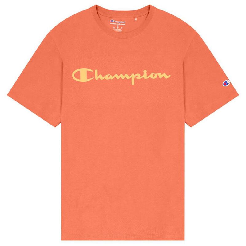 Playera Champion Classics Graphic para Hombre image number null