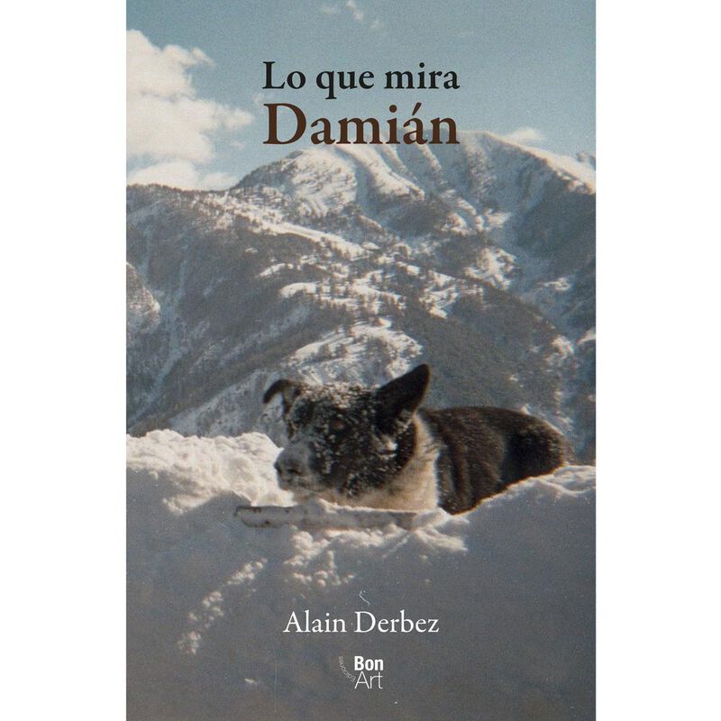 Lo Que Mira Dami&aacute;n image number null