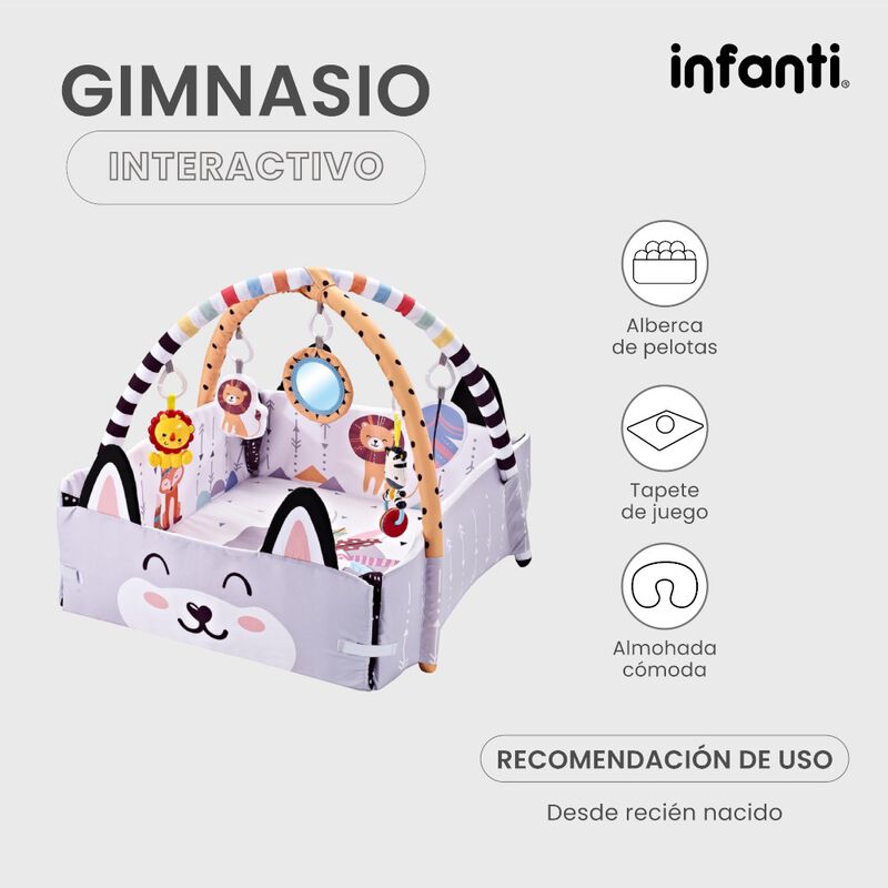 Infanti Gimnasio- Alberca  De Pelotas ''Fox'' image number null