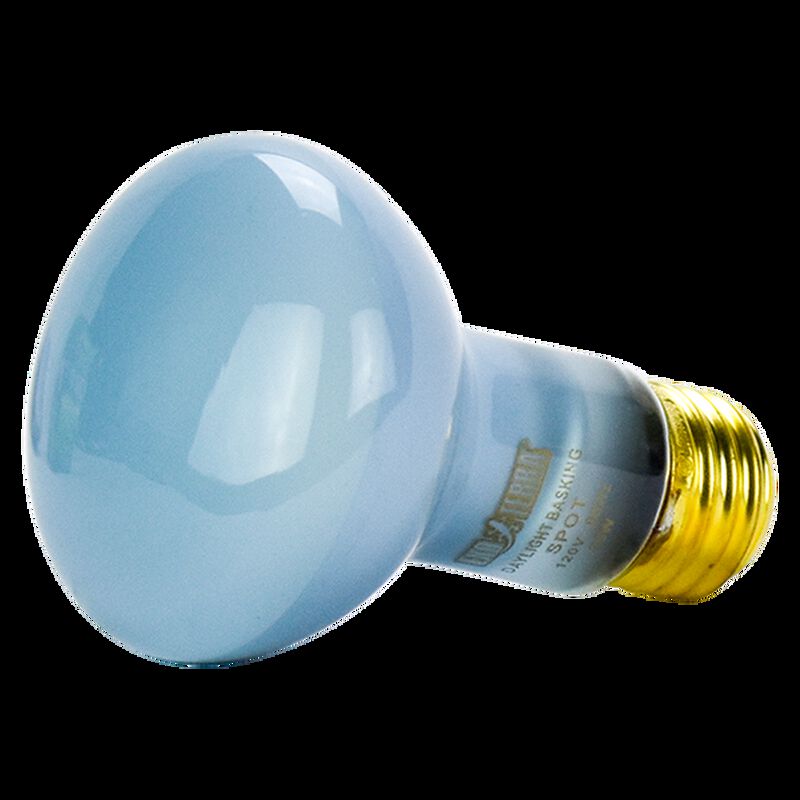 Hagen Foco Sun Glo Neodymium Exo-Terra 75 W image number null