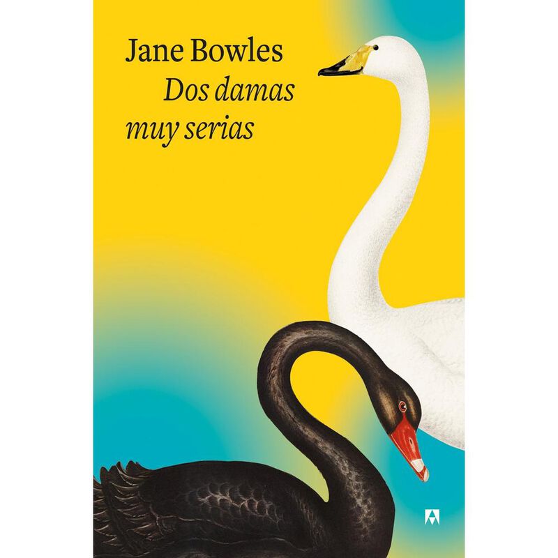 Dos damas muy serias image number null