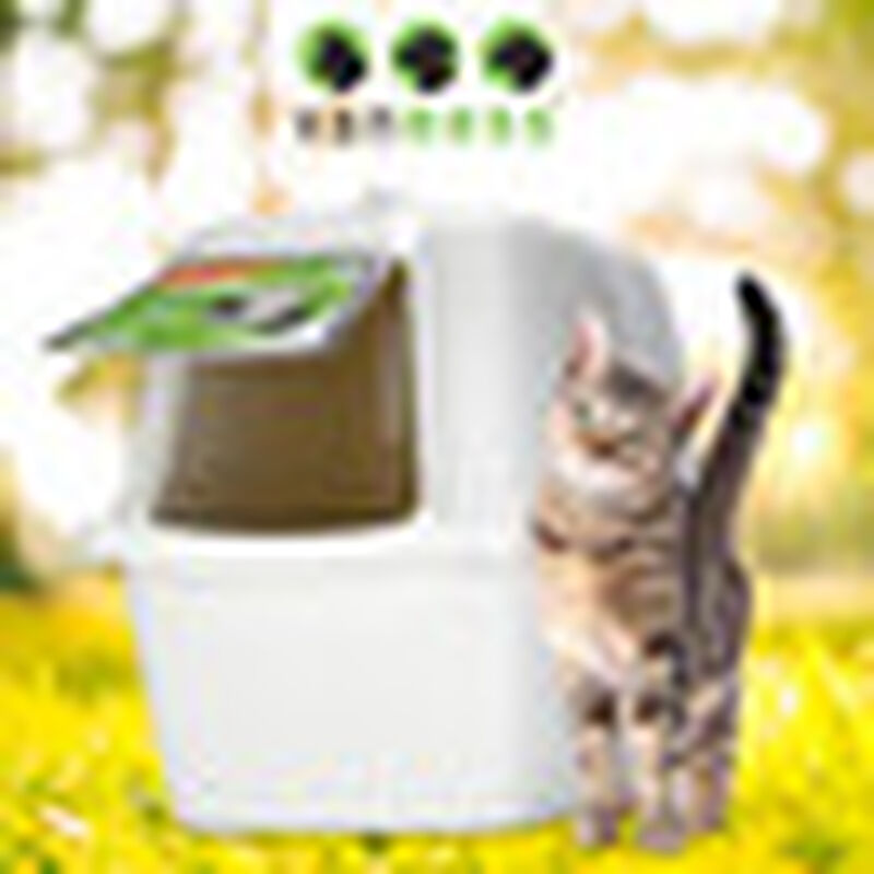 Vanness Arenero Grande Cubierto para Gato Tama&ntilde;... image number null