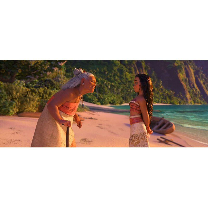 Moana [DVD] (2016) Vaiana image number null