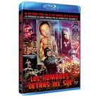 Los hombres detr&aacute;s del sol (Blu-ray) (BD-R) (Hei Tai Yang 731) [Blu-ray]
