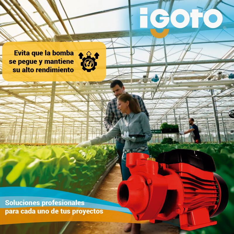Bomba De Agua Periferica 127 V Duo 1hp 750w 30 ... image number null