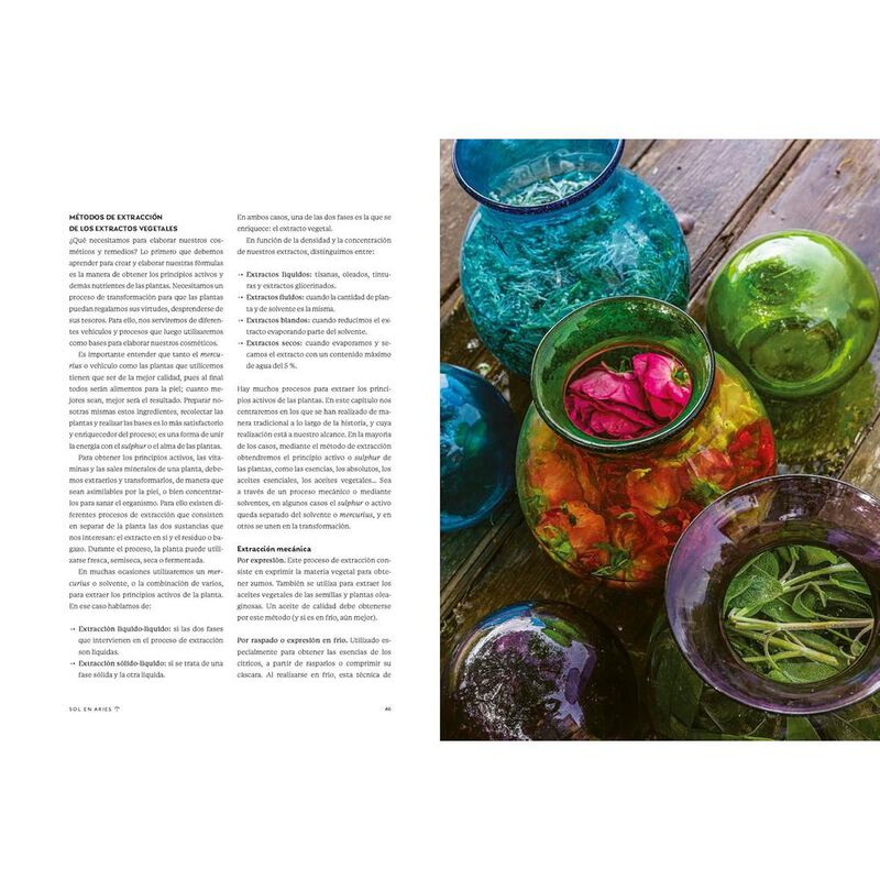 La magia de las plantas image number null