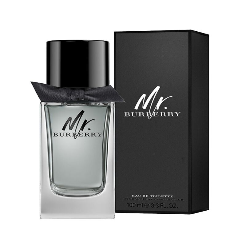 Perfume Caballero Burberry Mr Burberry 100Ml image number null