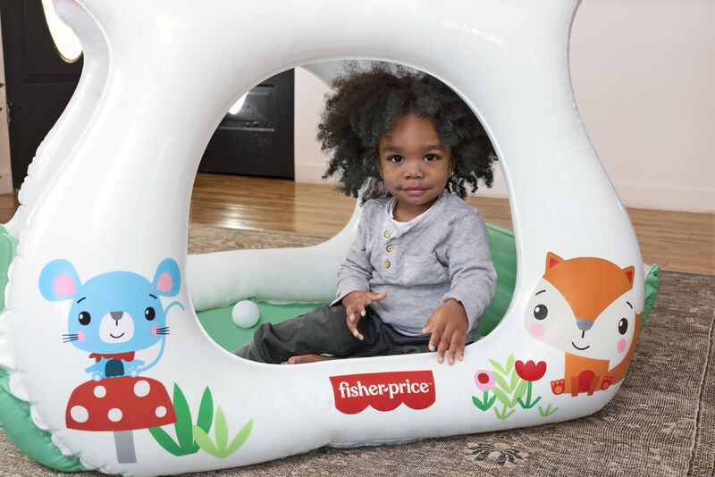 &nbsp;Centro de juegos Fisher Price pozo de pelotas ... image number null