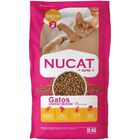 NUCAT 15 KG mas Pelota Spiny Caucho