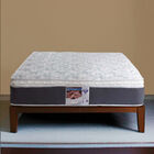 Colchón Matrimonial Spring Air Marte + 2 Almohadas Osos + Protector
