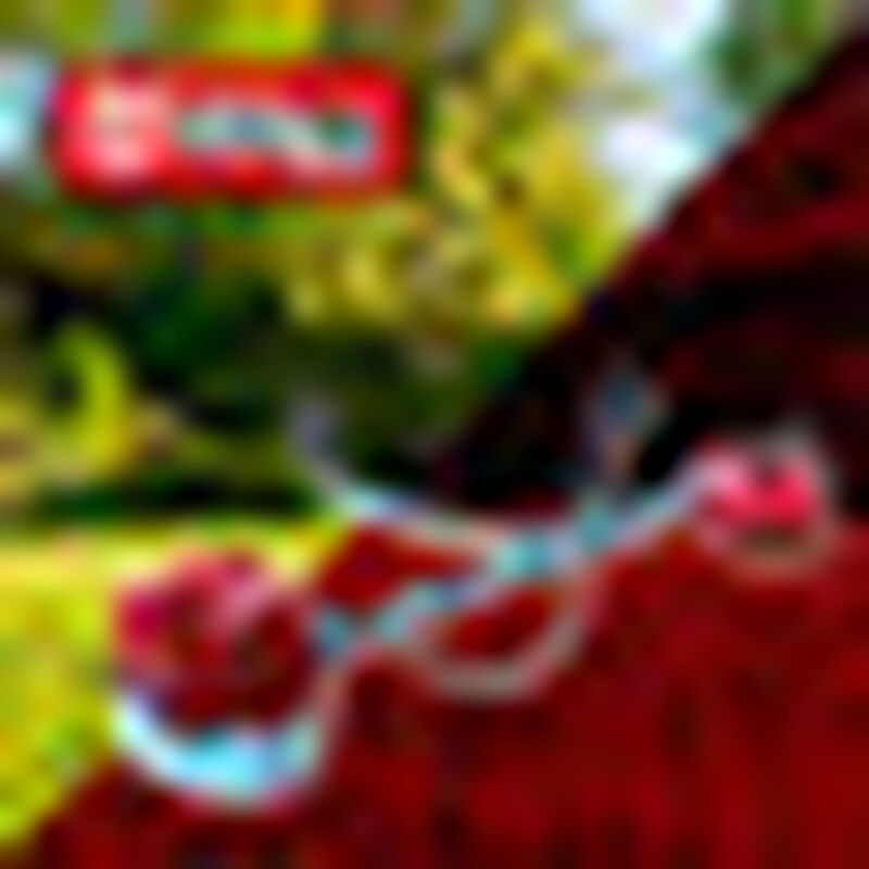 Desbrozadora a Gasolina Transmision Recta Semip... image number null