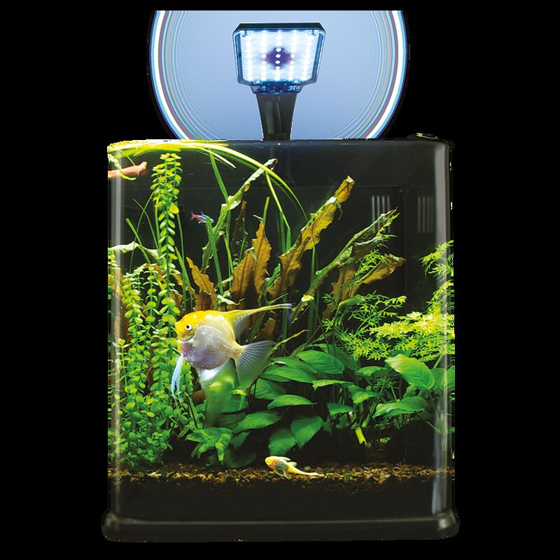 Lomas Acuario Nano Cubo De 9 L image number null