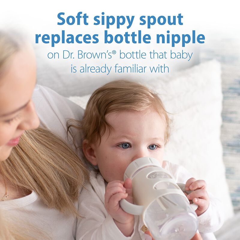 Botella Sippy Spout Dr. Brown's Milestones, 270... image number null