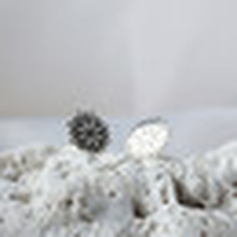 Broqueles Gerbera de Plata .925 image number null