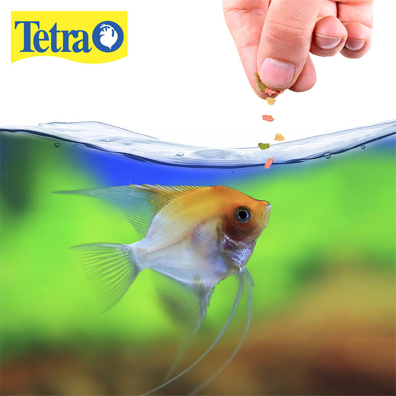 Tetra Alimento TetraColor Tropical para Peces c... image number null