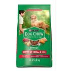 Purina Dog Chow Adulto 25 Kg