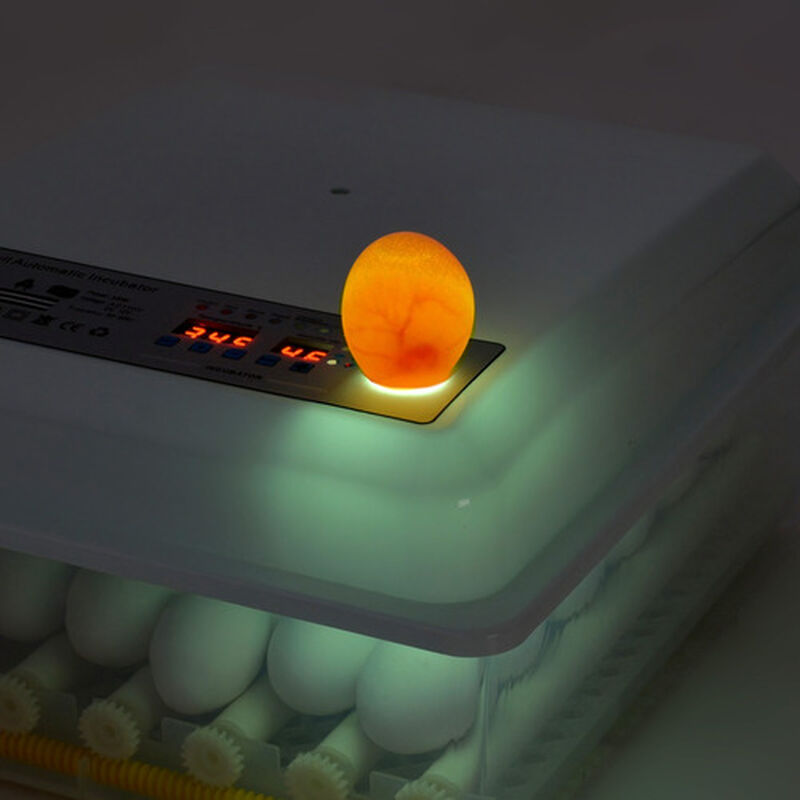 Incubadora Autom&aacute;tica 36 Huevos Aves Pollos + O... image number null