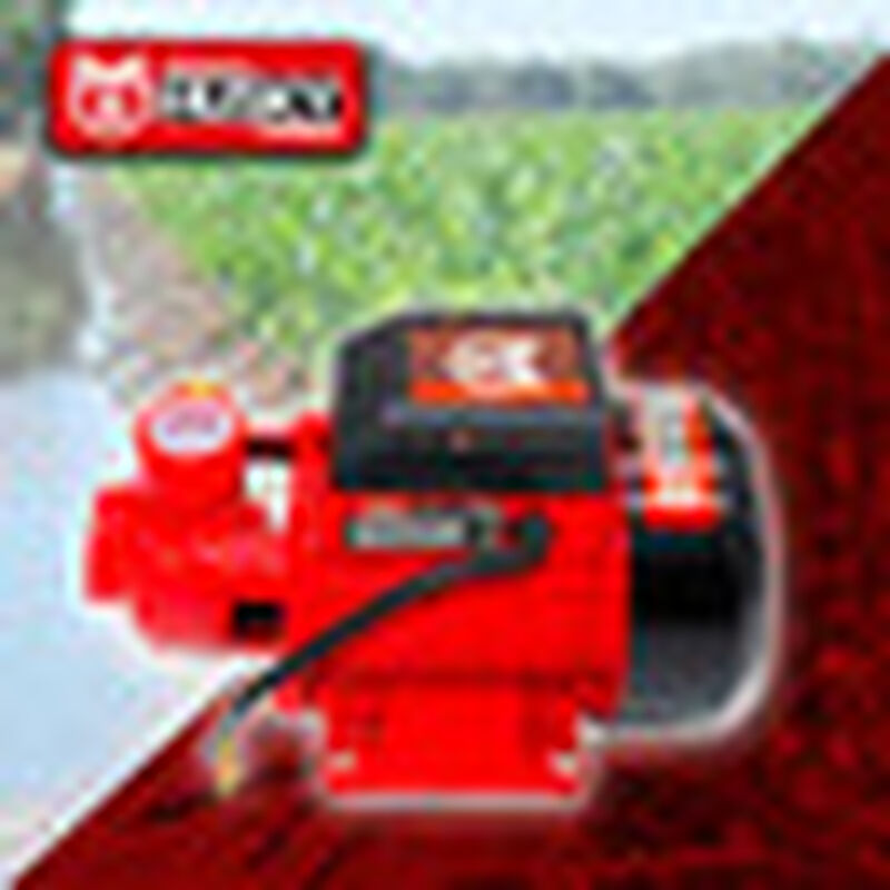 Bomba de Agua Electrica de 1/2HP 110volts image number null