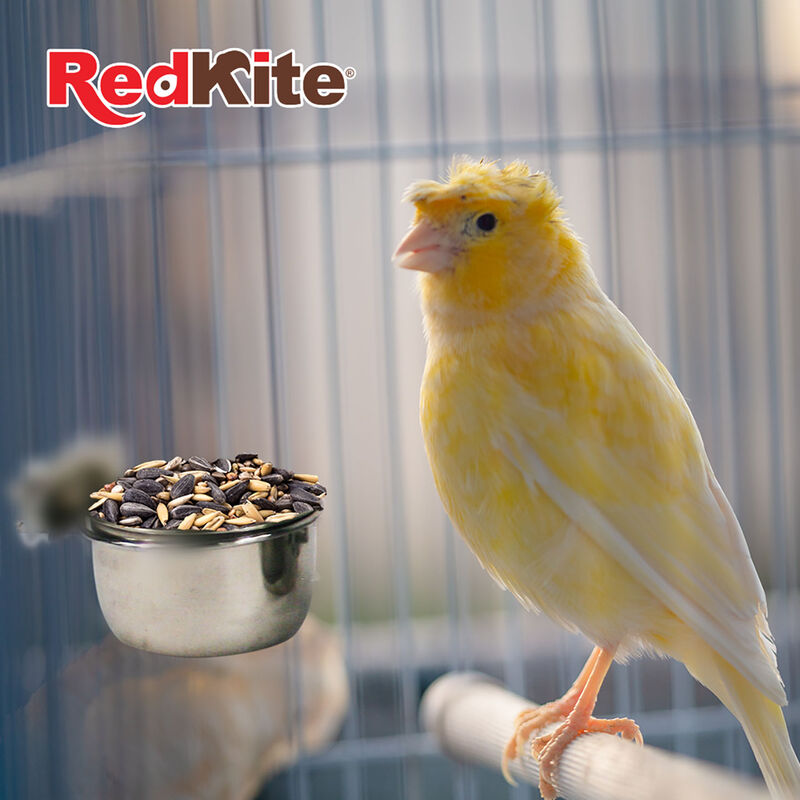 RedKite Plato de Acero con Abrazadera para Jaul... image number null