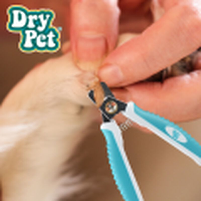 Fancy Pets Cortau&ntilde;as Para Perro image number null