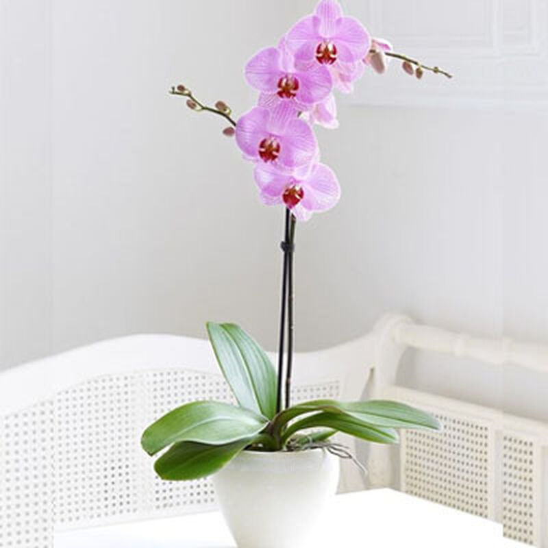 Gratitud image number null