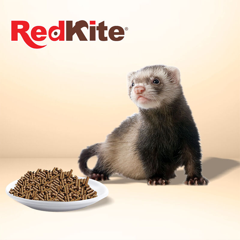 RedKite Alimento Premium Hecho con Carne de Pol... image number null