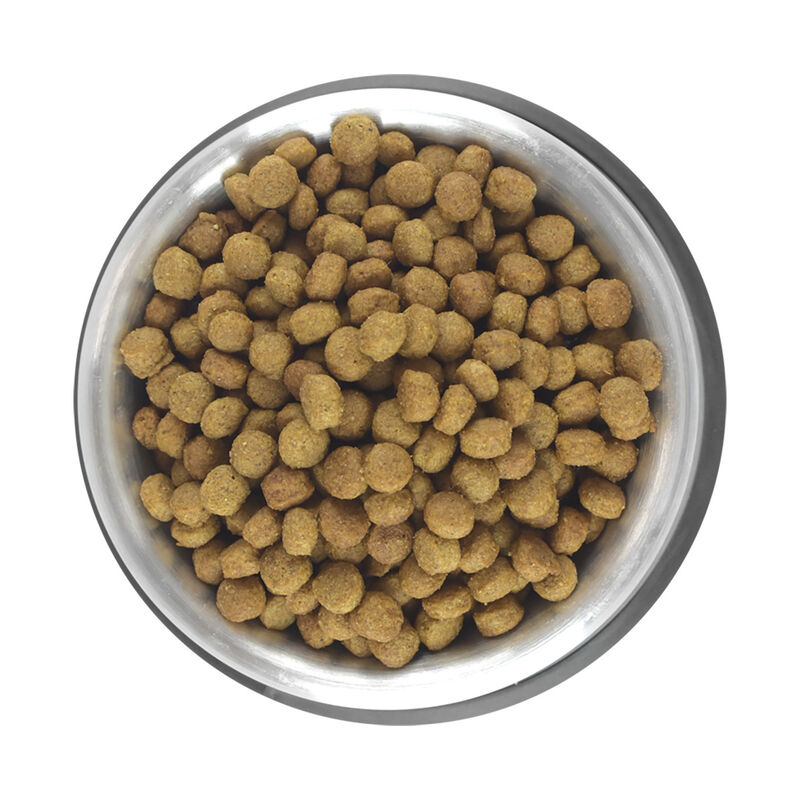 Perfect Sense Alimento para Perro Adulto de Raz... image number null