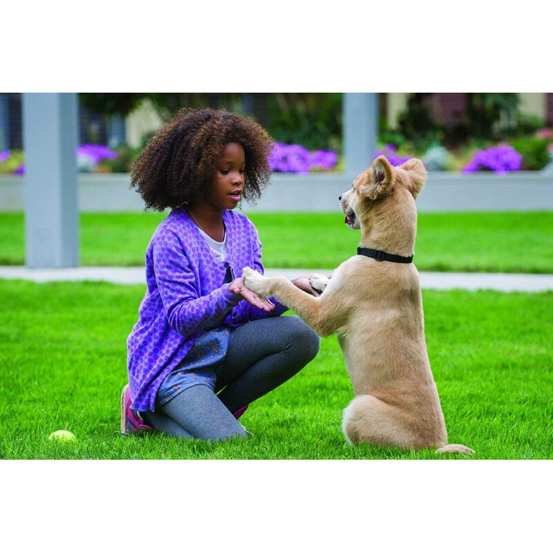 Annie [blu-ray] image number null