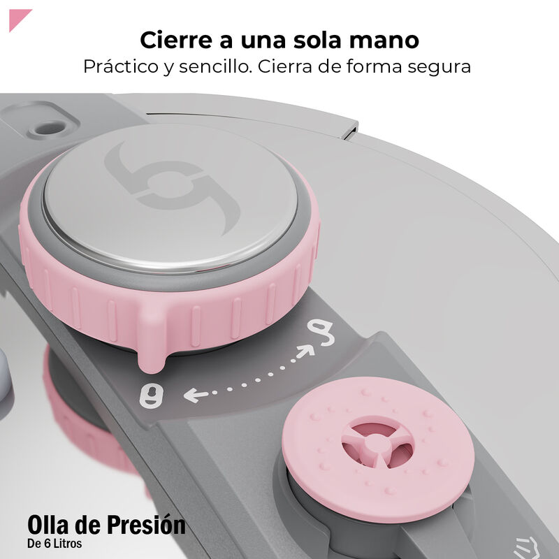 Bogner Olla de Presi&oacute;n 6L Acero Inox Rosa BPC06... image number null
