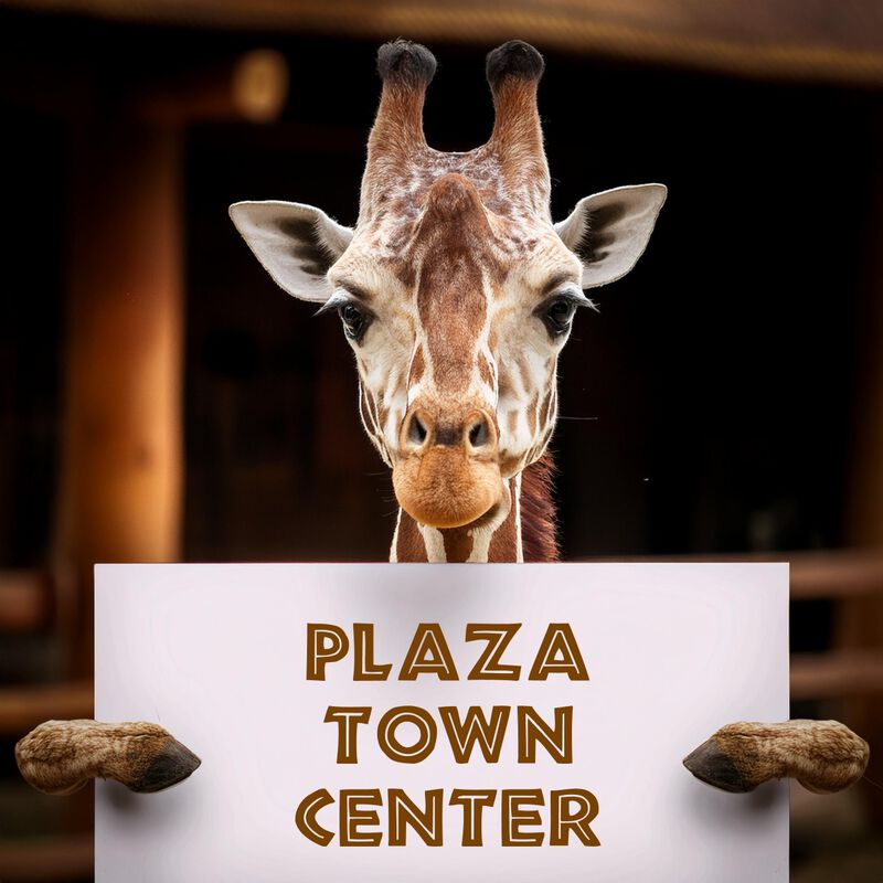 Bioparque + Transporte Incluudo CDMX Plaza Town... image number null