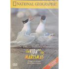 La Vida En Las Marismas Dvd National Geographic